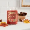 21.5oz Lidded Glass Jar 2-Wick Fall Day Candle - Opalhouse™ -Opalhouse™ Shop GUEST b871d0a3 4ceb 4012 b682 623b0309090e