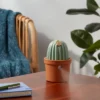 Cactus Ultrasonic Diffuser Green - Opalhouse™ -Opalhouse™ Shop GUEST be681bb5 49e3 41f7 99a3 5bc52fb79585