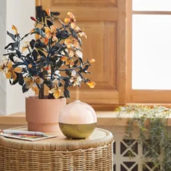 100ml Iridescent Oil Diffuser White - Opalhouse™ 15 100ml Iridescent Oil Diffuser White - Opalhouse™ -Opalhouse™ Shop GUEST f12702f8 e31d 43ee 96f7 42fa6e708262